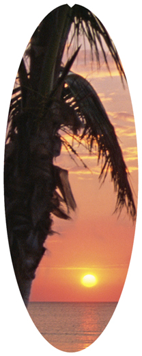 DNSA18-127-Sunset Footprints